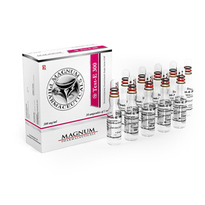 Magnum Test-E 300 - köpa Testosteron-enanthat i onlinebutiken | Pris