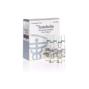 Testobolin (ampoules) - köpa Testosteron-enanthat i onlinebutiken | Pris